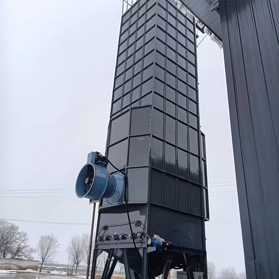 Petit séchoir à grains de paddy à air chaud / Sécheur de paddy de maïs de blé / Sécheur de riz aux Philippines